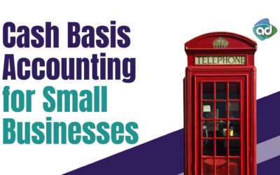 Cash Basis Accounting for Small Businesses