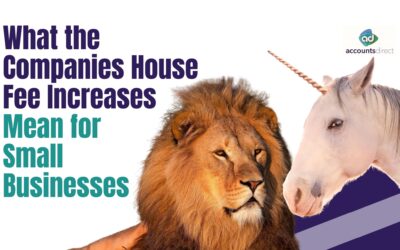 What the Companies House Fee Increases Mean for Small Businesses