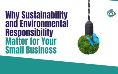 Why Sustainability and Environmental Responsibility Matter for Your Small Business