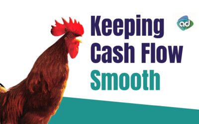 Keeping Cash Flow Smooth